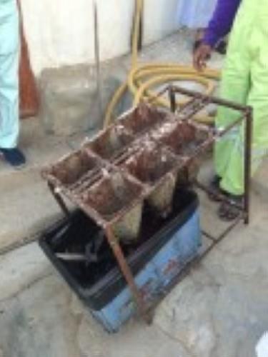 مصادرة ٣ آلاف دجاجة وإغلاق مطعم شهير بمكة