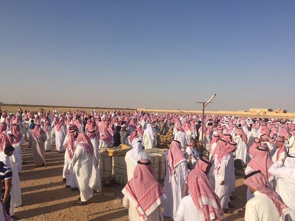 بالفيديو والصور.. 