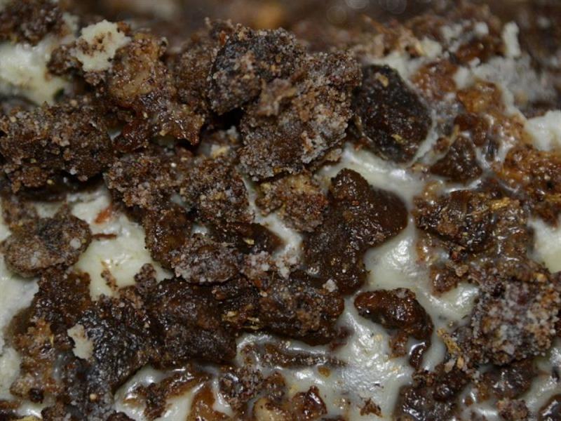 المحشوش المحشوش