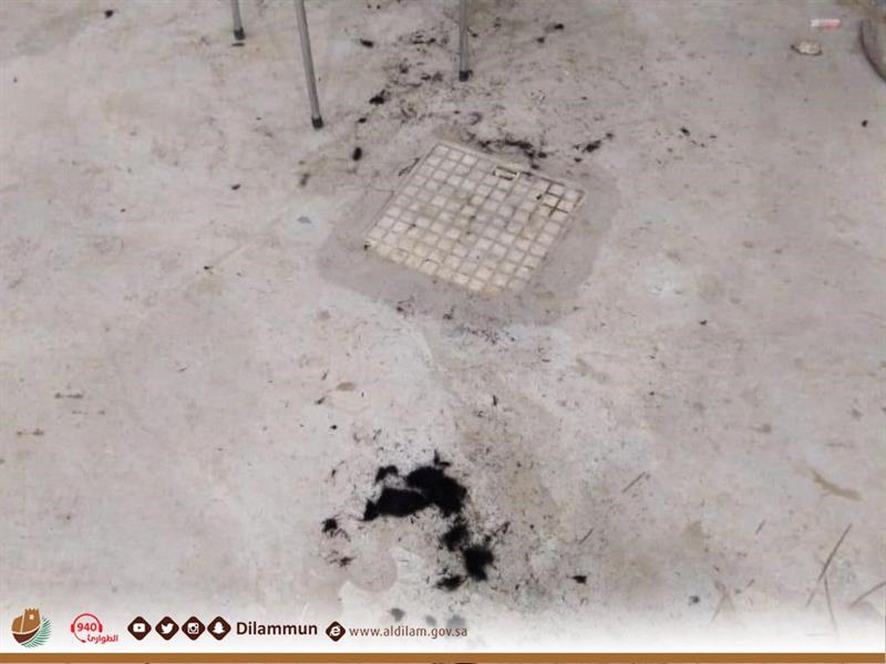 بلدية الدلم