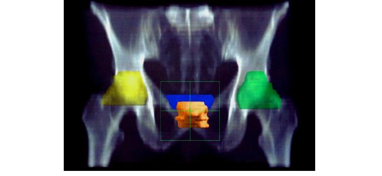 العلاجات العلاجات