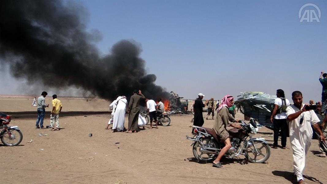 الصور الصور