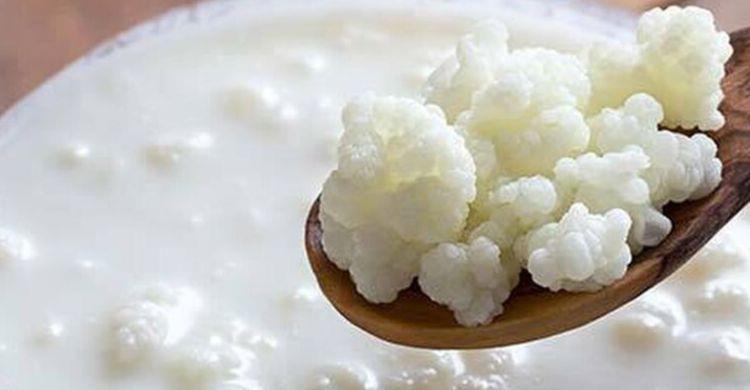 5. الأطعمة المخمرة