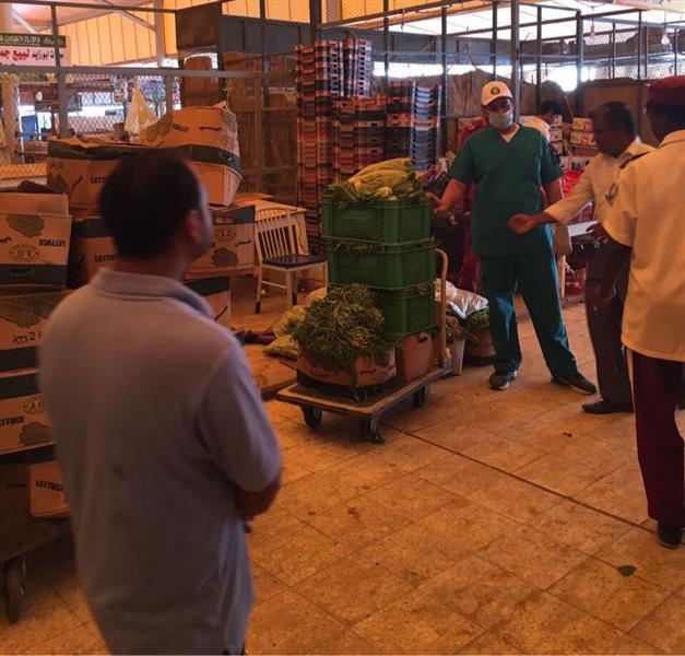 شاهد.. حشرات في مباسط الخضار في شاهد.. حشرات في مباسط الخضار في