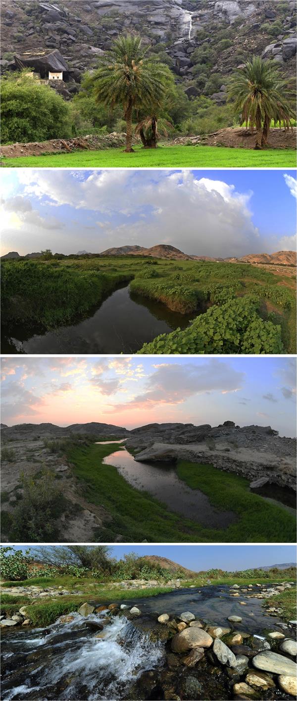 جمال الطبيعة في أودية عسير ومنحدراتها الجبلية