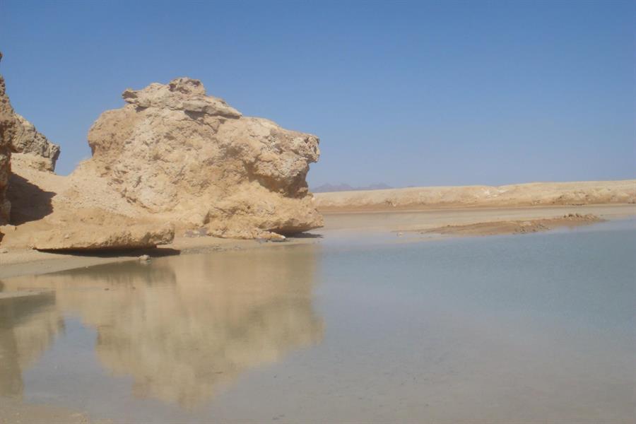 بالصور.. هنا 