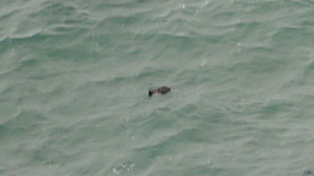 من حطام الطائرة