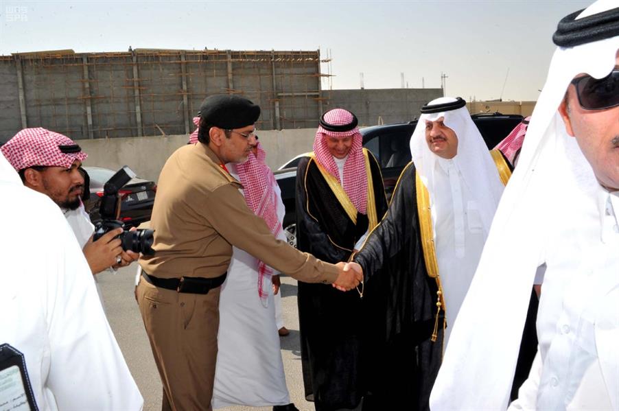 الصور الصور