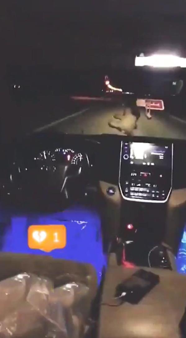 مرور القريات مرور القريات