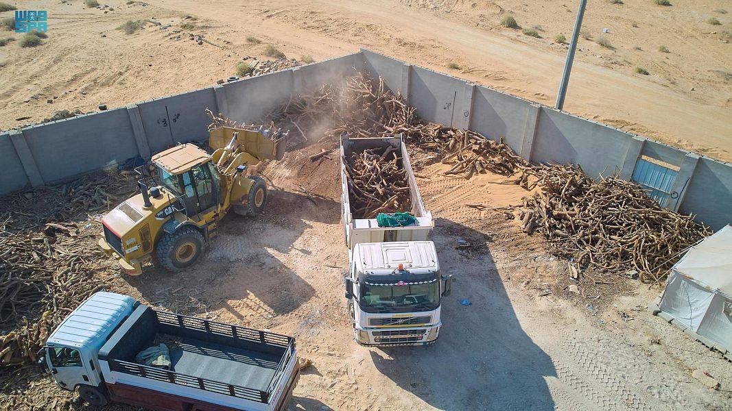 الحطب المحلي