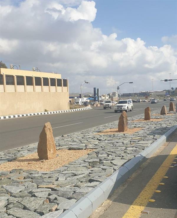 مستشفى عسير 