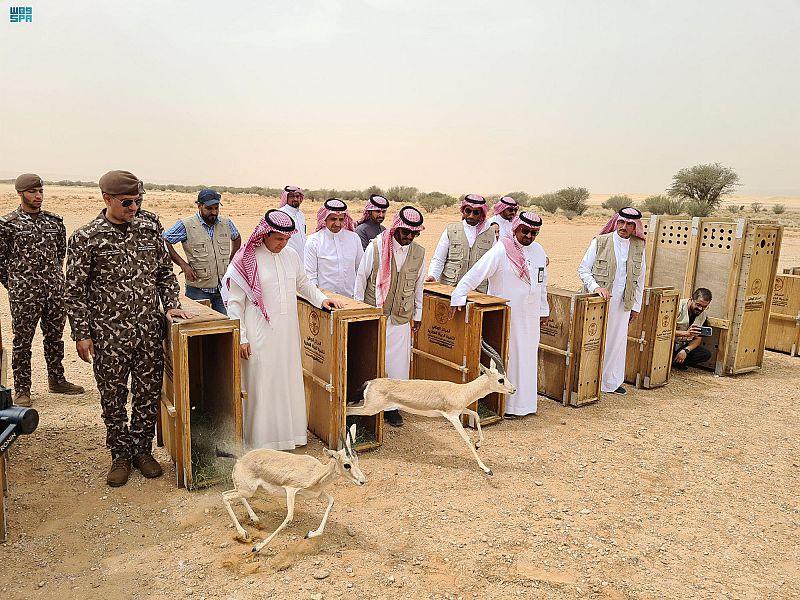 الحياة الفطرية" تطلق 50 كائناً فطرياً مهدداً بالانقراض