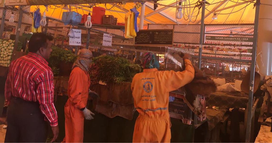 شاهد.. حشرات في مباسط الخضار في شاهد.. حشرات في مباسط الخضار في