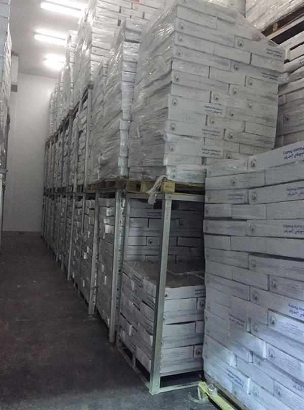 بلاغ يقود لضبط 25 شاحنة تحمل أطنانًا من الدجاج الفاسد قبل توزيعها بالقصيم - صور