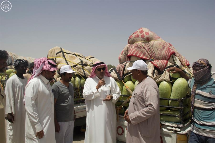 500 مركبة تنقل يوميًا حبحب وادي الدواسر للسوق 500 مركبة تنقل يوميًا حبحب وادي الدواسر للسوق