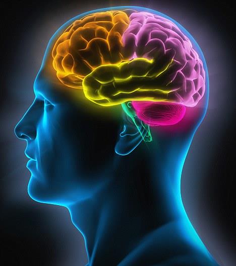 هل تتذكر أدق تفاصيل حياتك؟.. قد تكون مصابًا بهذا المرض هل تتذكر أدق تفاصيل حياتك؟.. قد تكون مصابًا بهذا المرض