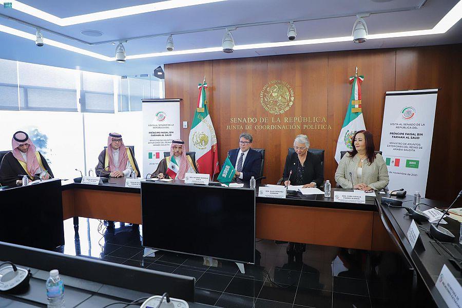 وزير الخارجية يلتقي رئيسة مجلس الشيوخ المكسيكي