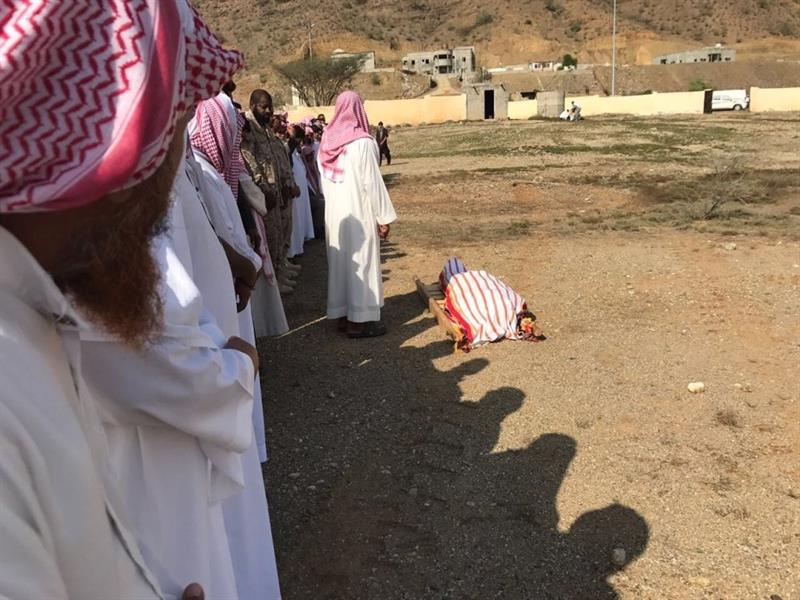 الصور الصور