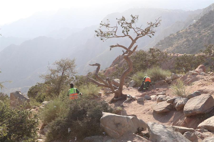 الأمانة العامة بالطائف