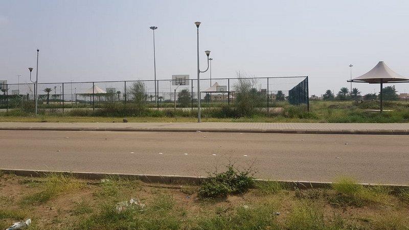  انتشار الزواحف والثعابين بحدائق الحصمة في جازان