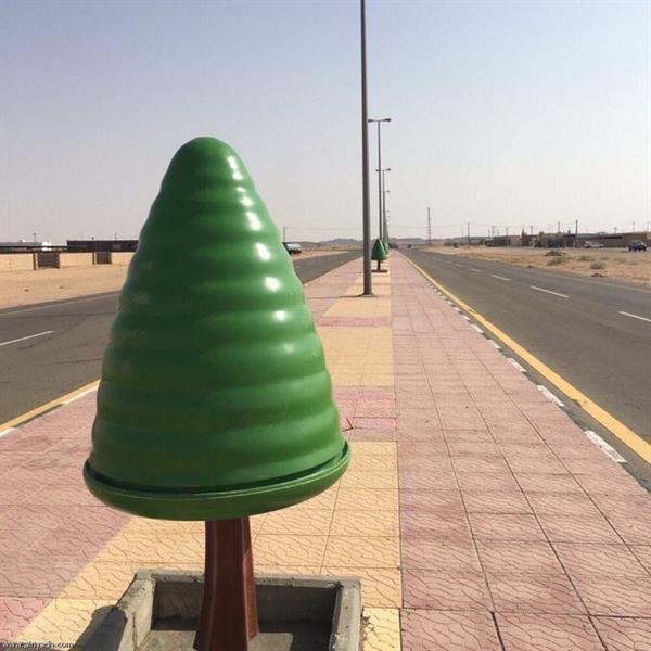 بعد صور متداولة وانتقاد عضو 