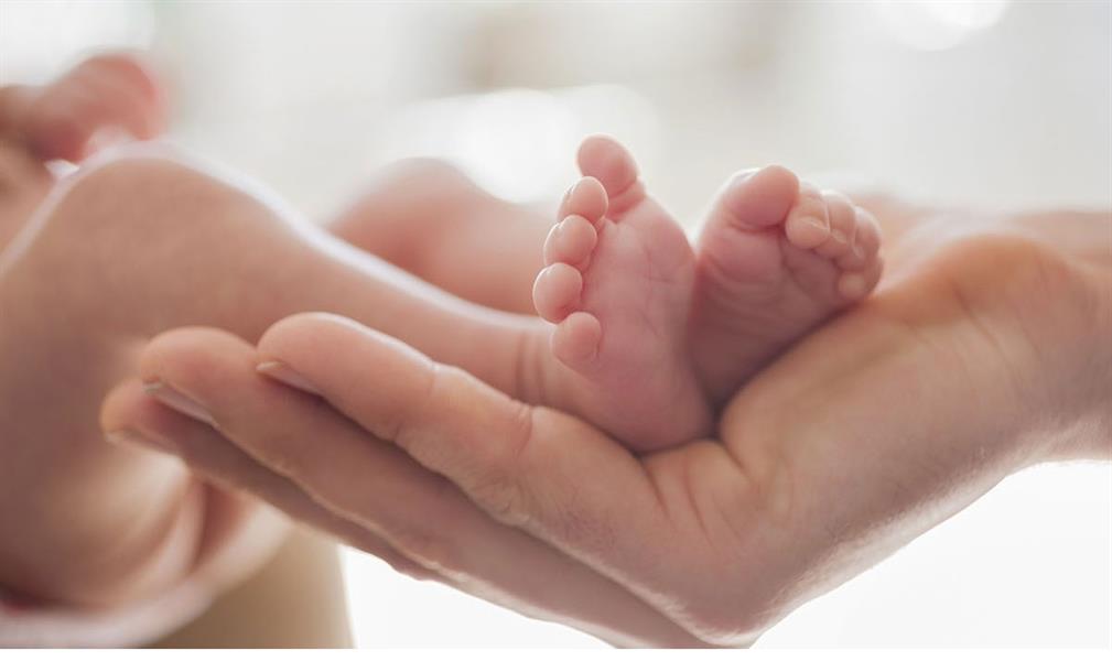 الإنجاب يعني أنه لا وجود للعقم