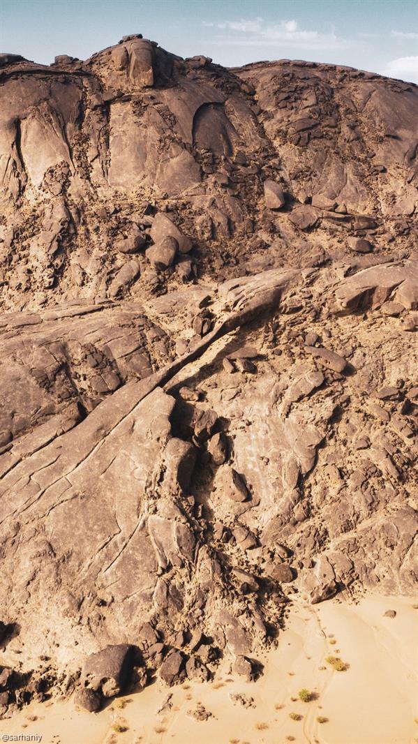 تصوير إبراهيم سرحان تصوير إبراهيم سرحان