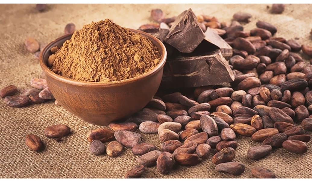 الكاكاو الكاكاو