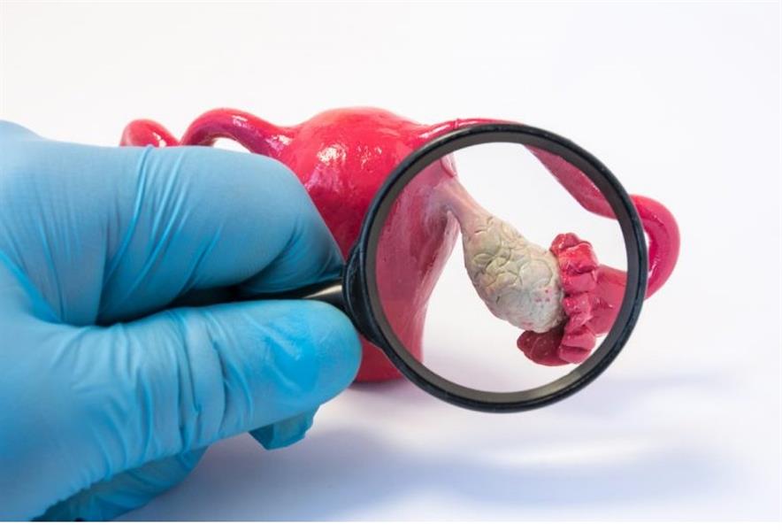 خصوبة المرأة فقط تتأثر بالكبر