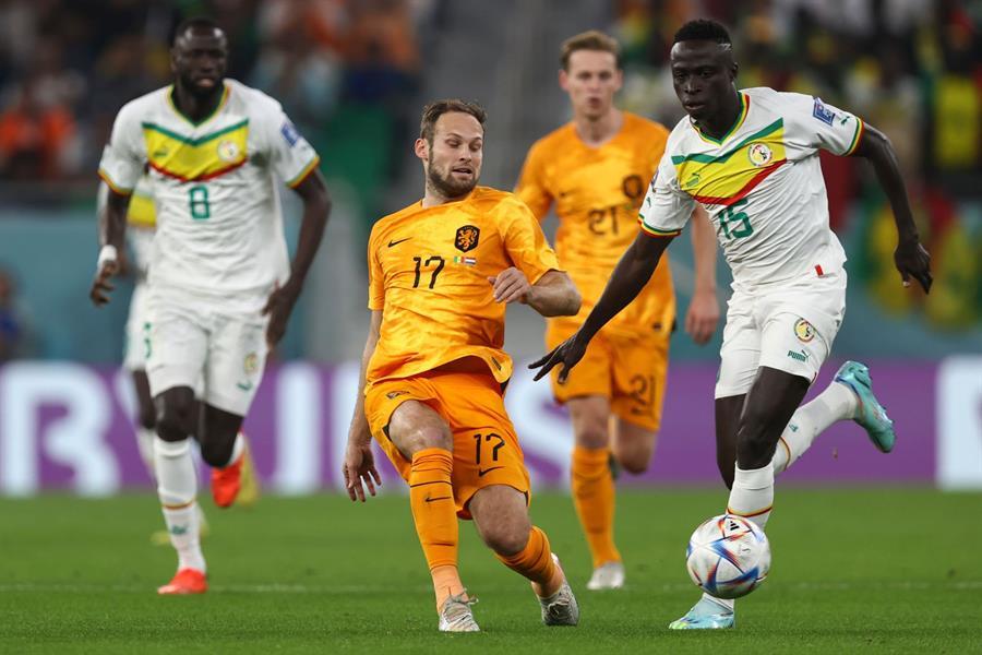 هولندا والسنغال 