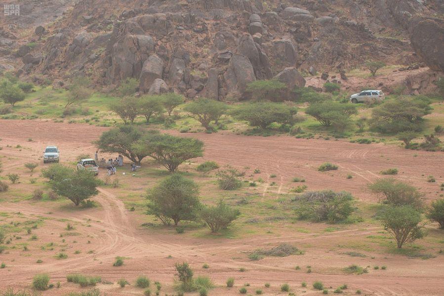 شاهد.. متنزهات بيشة الخضراء: تنوع طبيعي ومساحات خضراء تجذب الزائرين شاهد.. متنزهات بيشة الخضراء: تنوع طبيعي ومساحات خضراء تجذب الزائرين