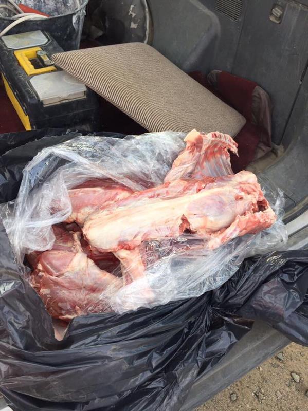 أمانة جدة تضبط ٢٩ سيارة مخالفة وتُحبط تهريب ٢٧٦ ذبيحة فاسدة في ثاني أيام عيد الأضحى