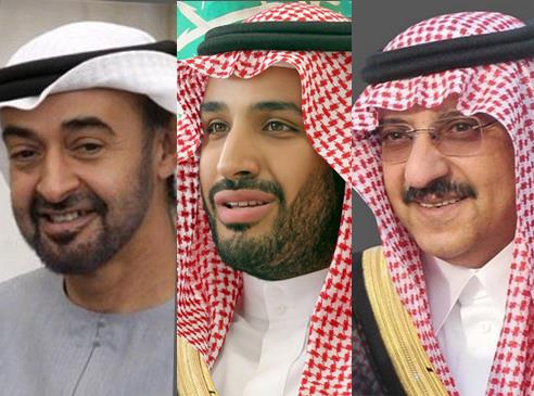 أخبار 24 سيف بن زايد ممتدحا محمد بن نايف ومحمد بن سلمان نعم
