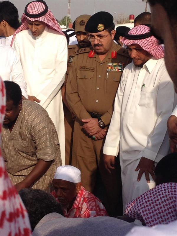 الصور الصور