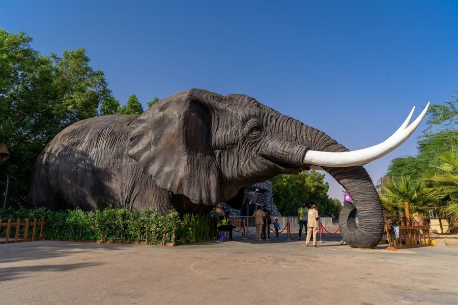 منطقة منطقة