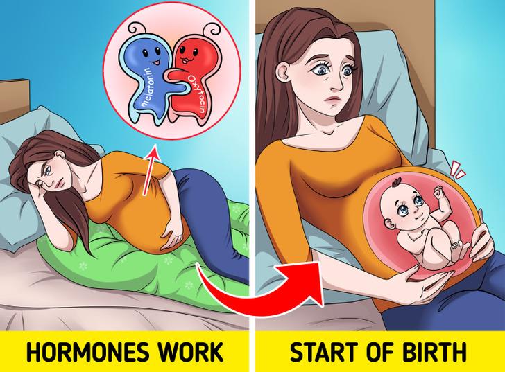 الولادة الولادة