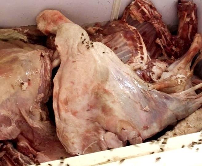 ضبط عمالة يبيعون لحوم الهدي على المطاعم في مكة