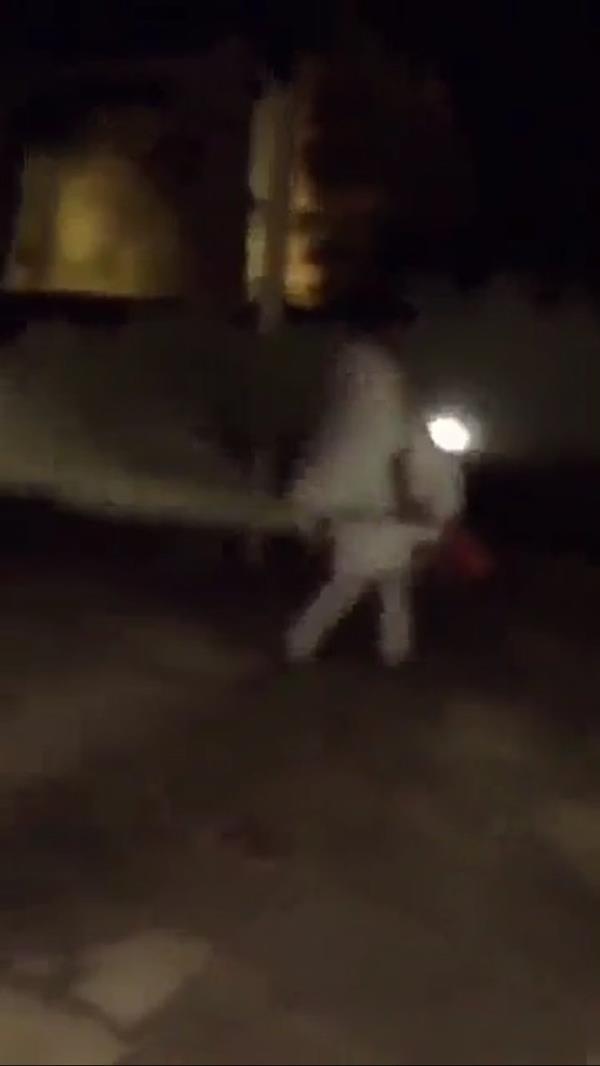 الصور الصور