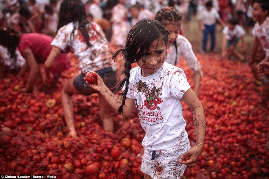 مهرجان الطماطم مهرجان الطماطم