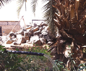 كمية المياه التي استخرجت عبر الطاقة الشمسية