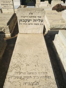 תמונת מצבה