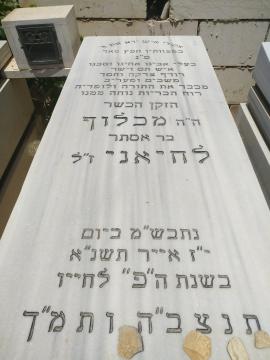 תמונת מצבה