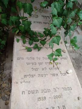 תמונת מצבה