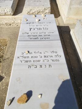 תמונת מצבה