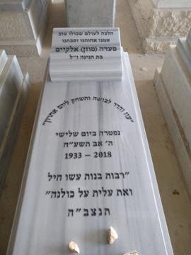 תמונת מצבה
