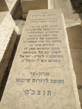 תמונת מצבה