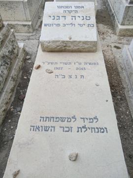 תמונת מצבה
