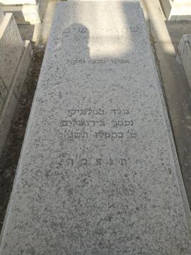 תמונת מצבה