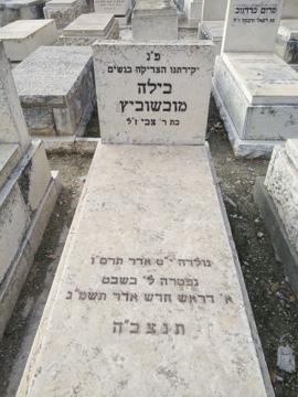 תמונת מצבה