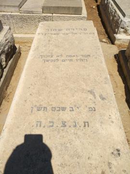תמונת מצבה